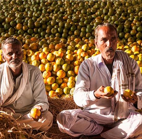 worker-sort-oranges-for-packaging-nagpur