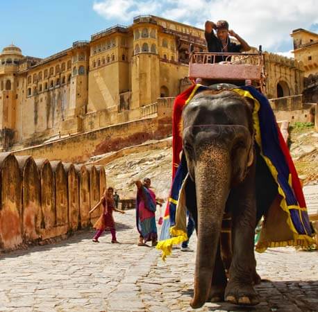 Riding-elephants-up-to-the-Amber-palace-complex